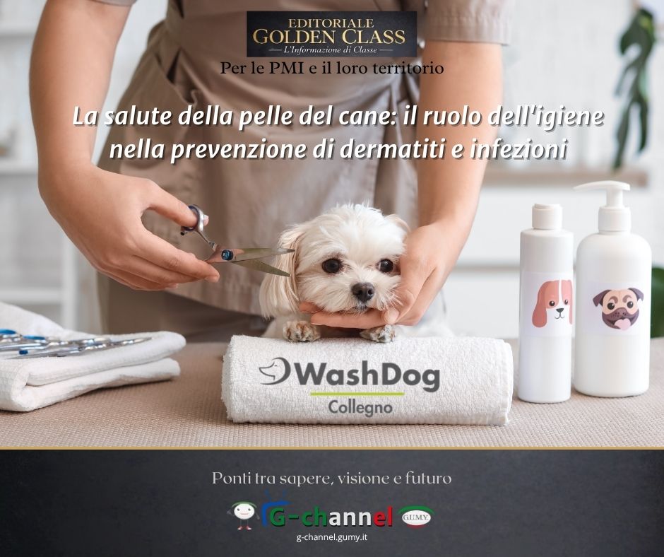 La salute della pelle del cane: il ruolo dell'igiene nella prevenzione di dermatiti e infezioni