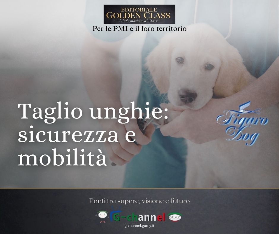 Taglio Unghie: Sicurezza e Mobilità