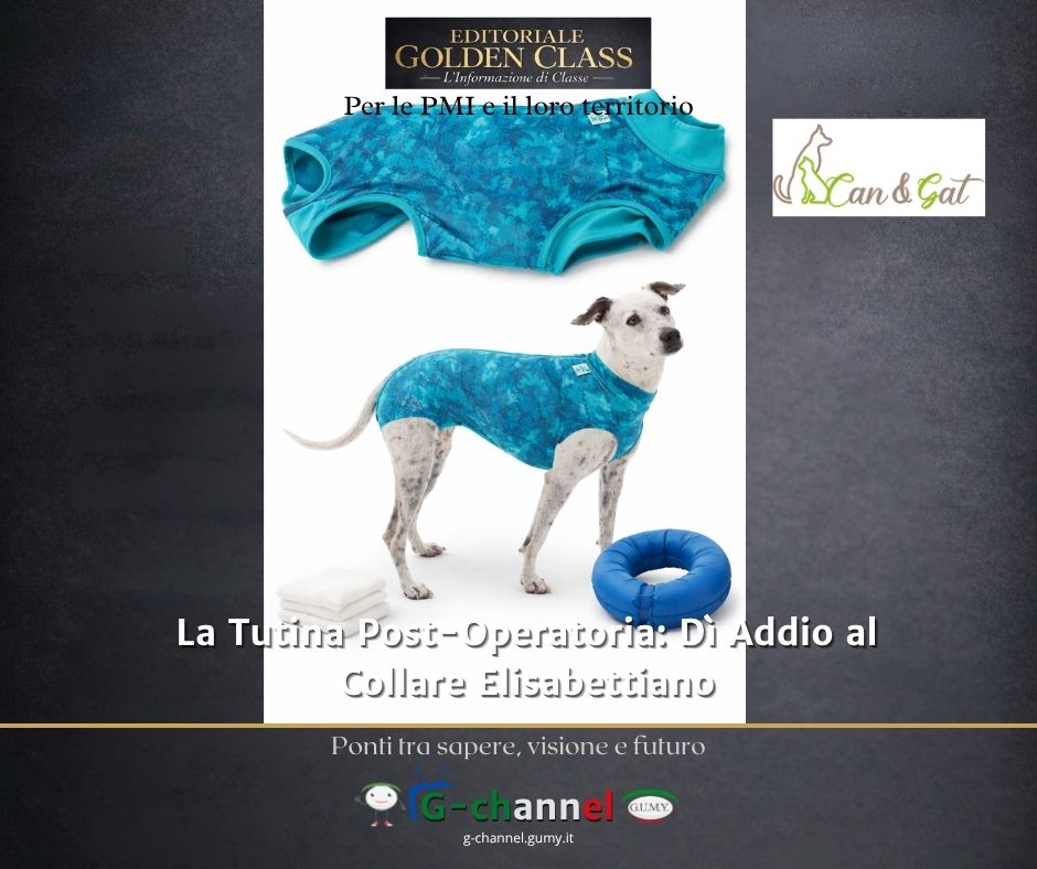 La Tutina Post-Operatoria: Dì Addio al Collare Elisabettiano