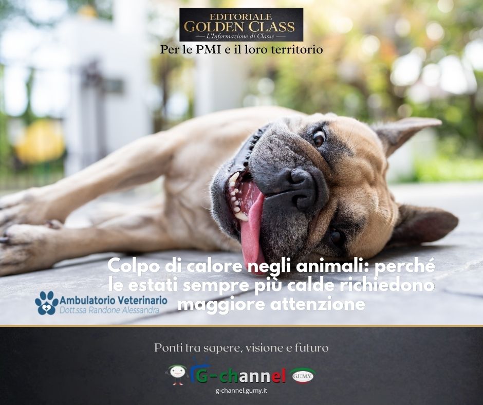 Colpo di calore negli animali: perché le estati sempre più calde richiedono maggiore attenzione