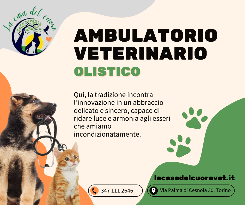 La Casa del Cuore: Passione e Innovazione per il Benessere Animale La Casa del Cuore: Passione e Innovazione per il Benessere Animale