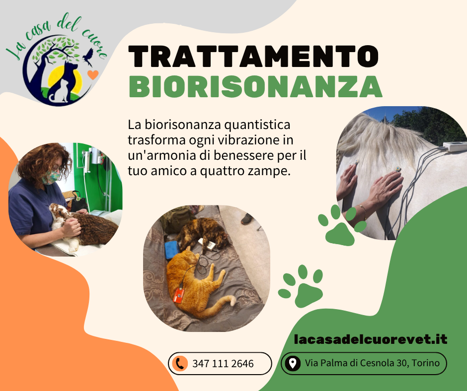 Biorisonanza: Un Equilibrio Energetico per il Benessere Animale Biorisonanza: Un Equilibrio Energetico per il Benessere Animale