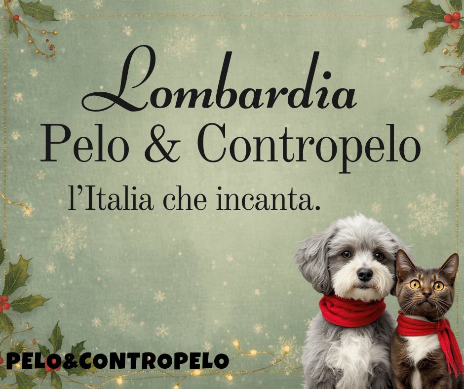 Lombardia Pelo & Contropelo: l’Italia che incanta