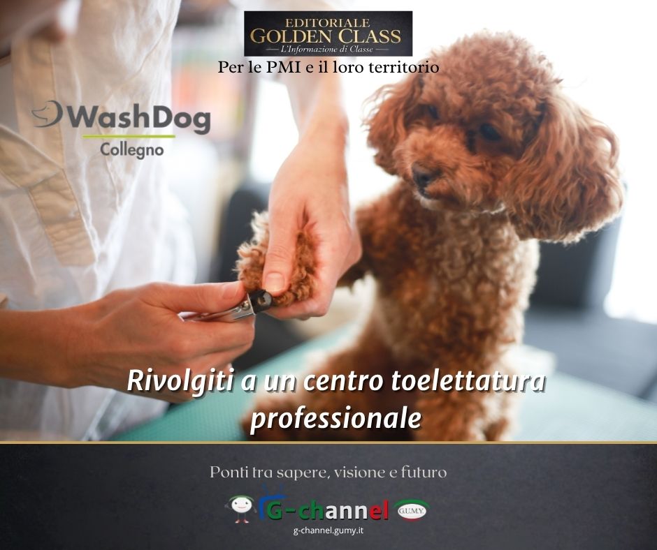 Rivolgiti a un centro toelettatura professionale