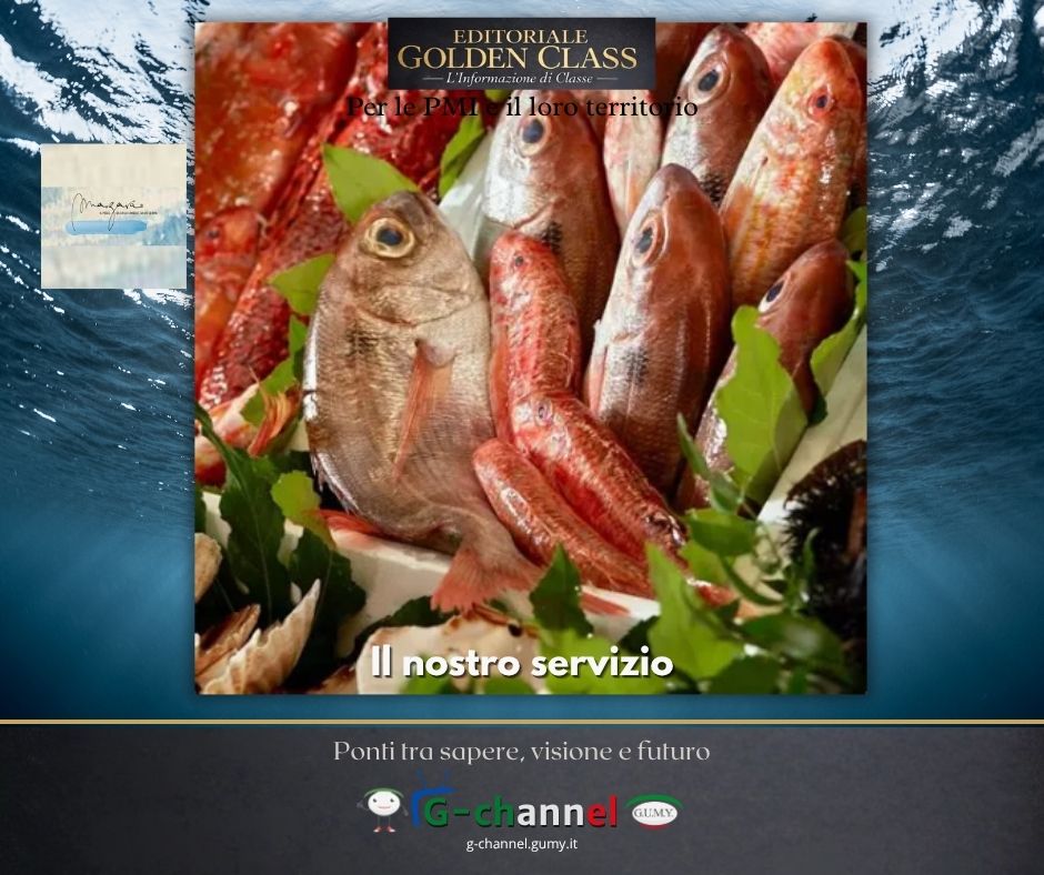 Il nostro servizio