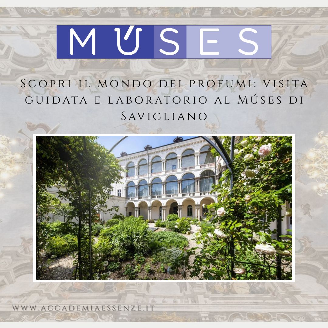 Alla scoperta di MÚSES – L’esperienza sensoriale che unisce arte, scienza e profumo