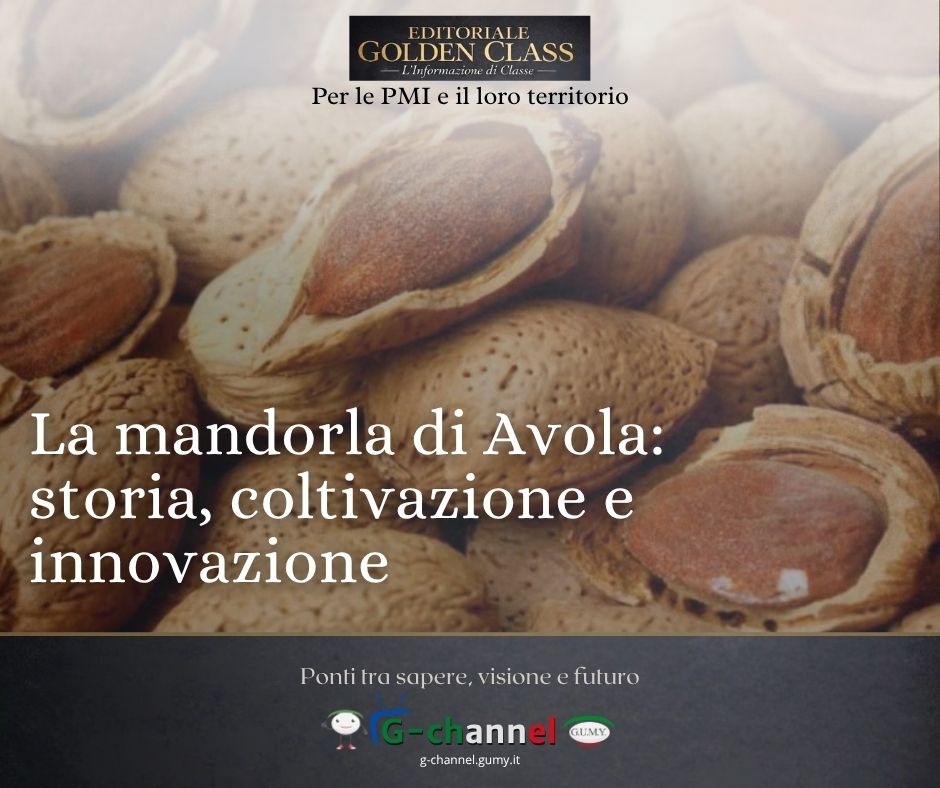 La mandorla di Avola: storia, coltivazione e innovazione