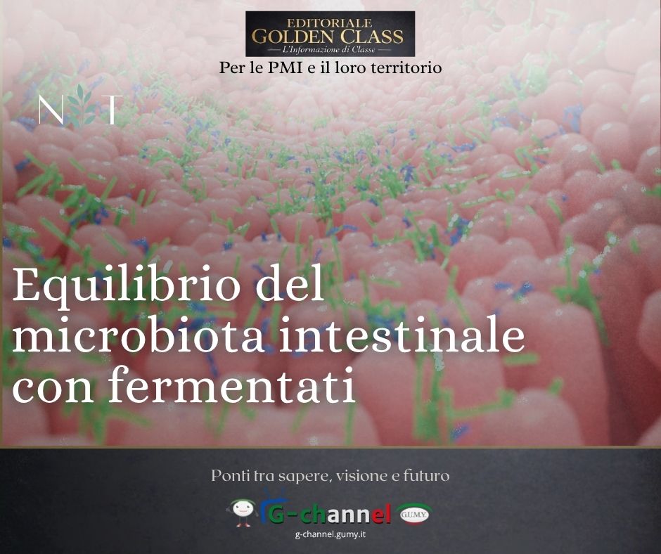 Equilibrio del microbiota intestinale con fermentati