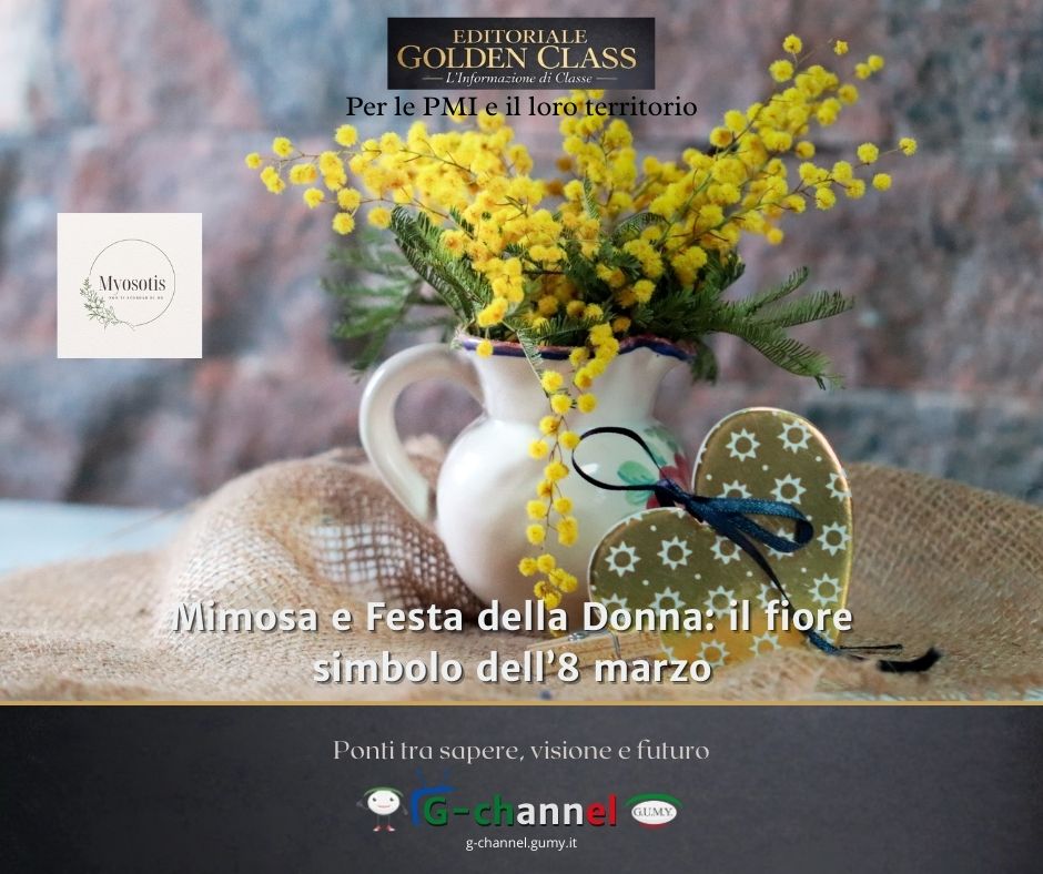 Mimosa e Festa della Donna: il fiore simbolo dell’8 marzo
