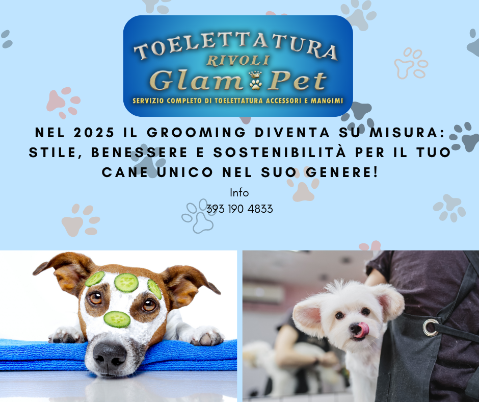 Le tendenze del grooming per cani nel 2025