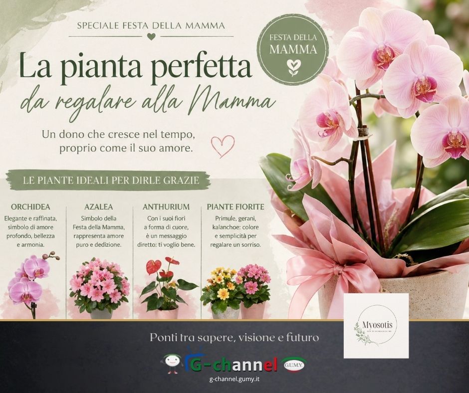 La pianta perfetta da regalare per la Festa della Mamma: un dono che cresce nel tempo