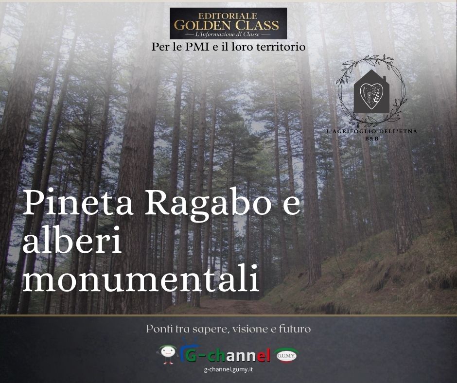 Pineta Ragabo e alberi monumentali