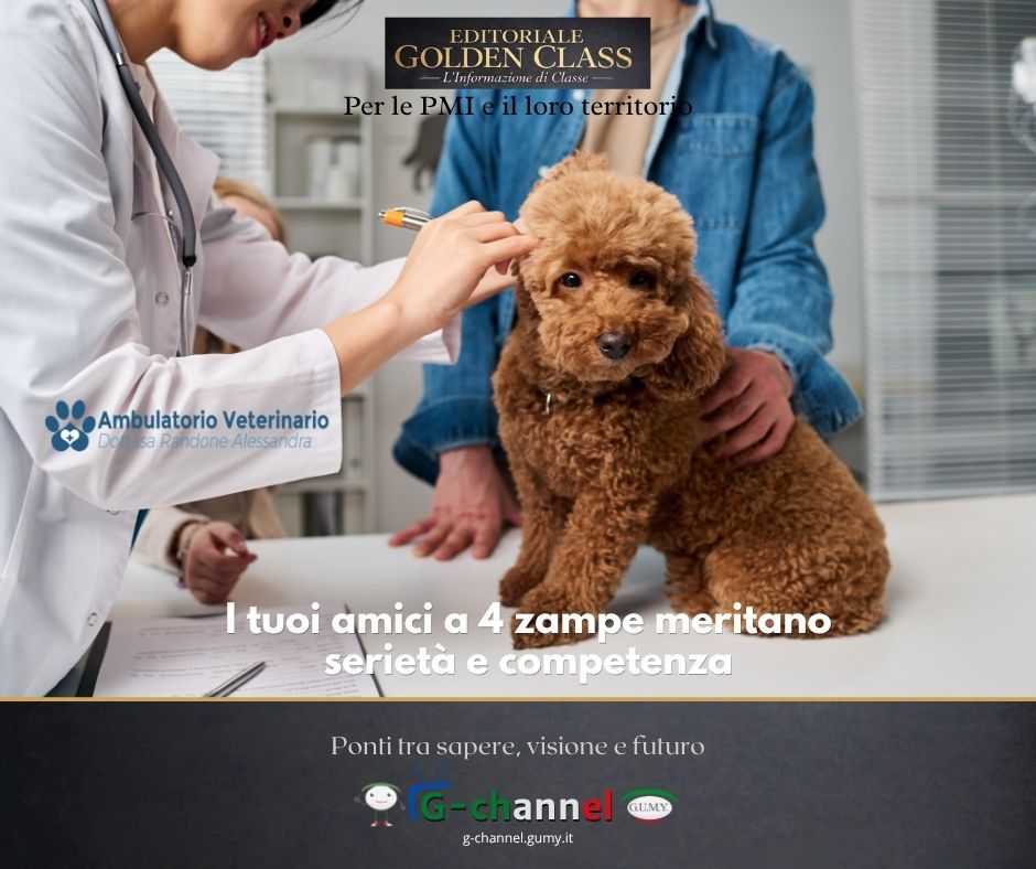 I tuoi amici a 4 zampe meritano serietà e competenza