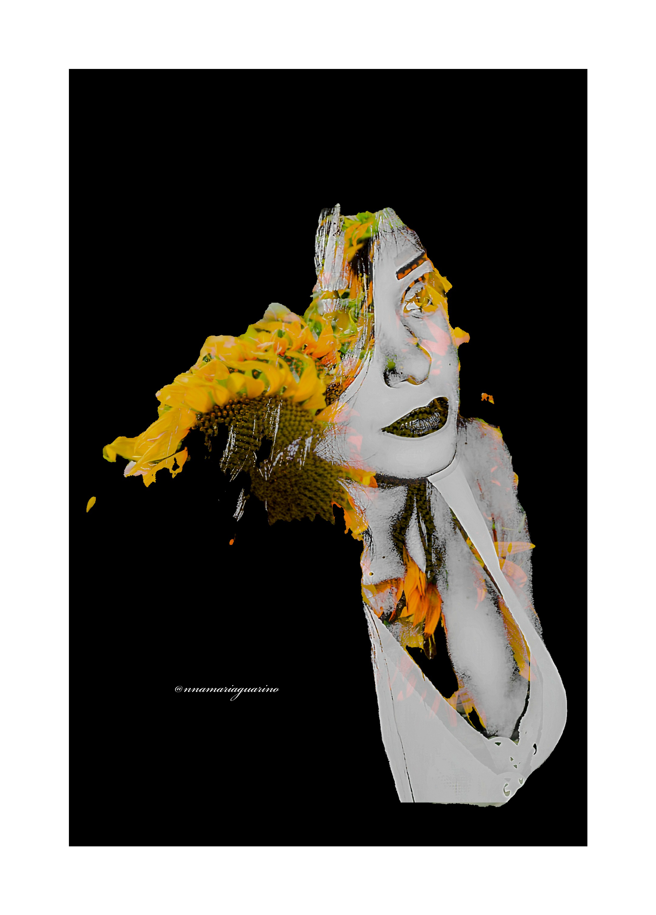 Il girasole Il girasole