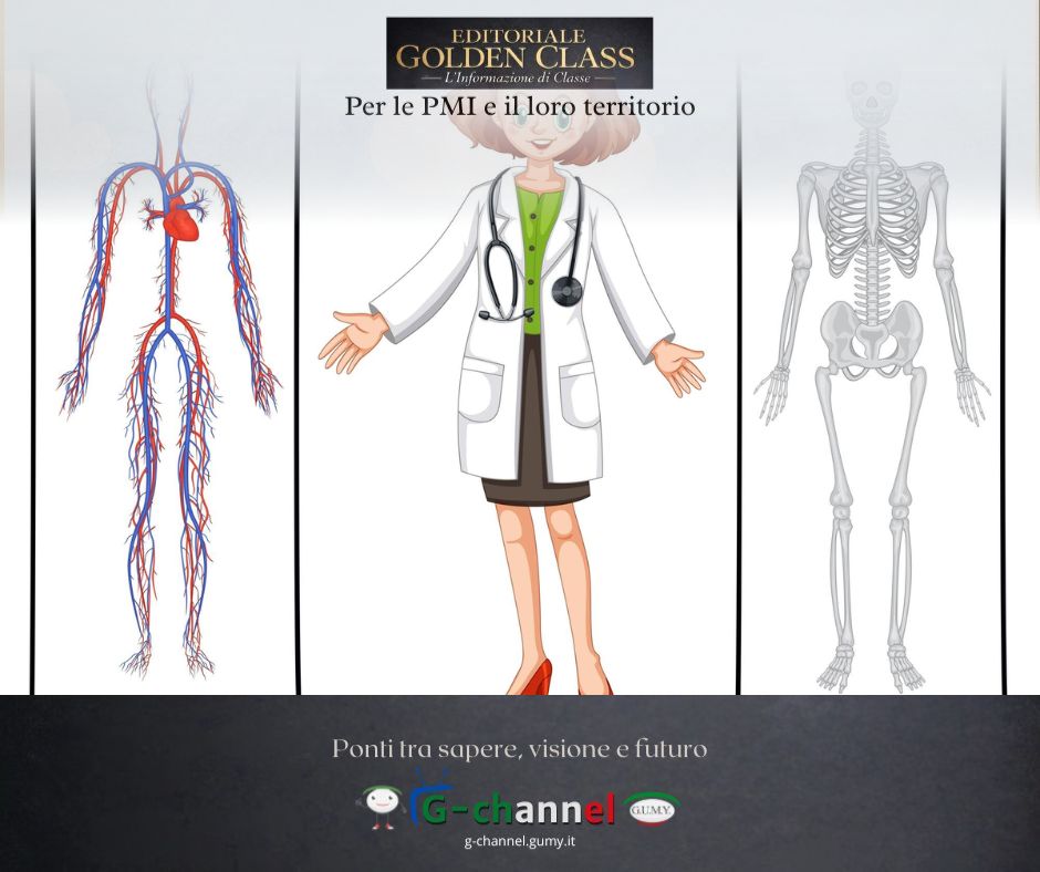 Il sistema linfatico: il grande dimenticato della salute e della bellezza