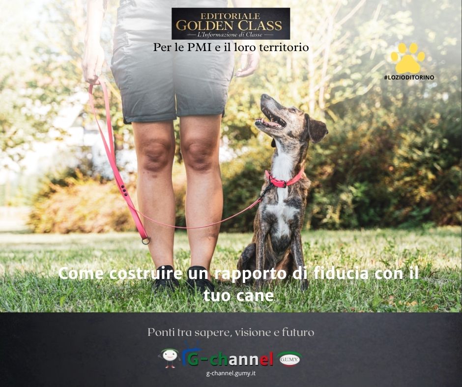 Come costruire un rapporto di fiducia con il tuo cane