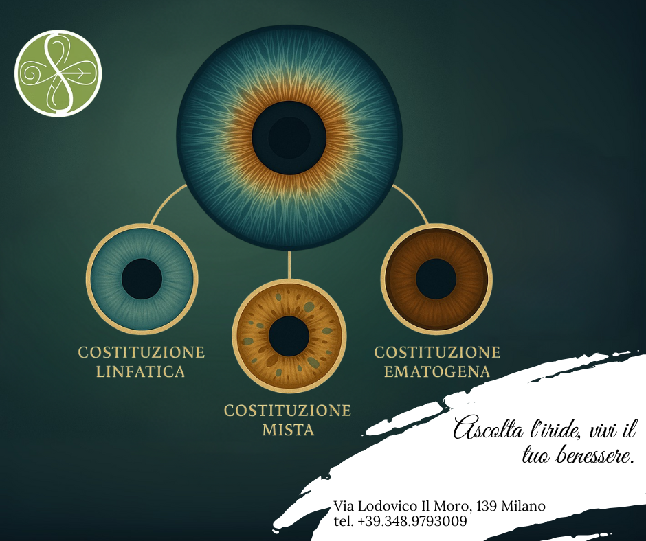 Costituzioni iridologiche: l’iride racconta il nostro terreno vitale Costituzioni iridologiche: l’iride racconta il nostro terreno vitale