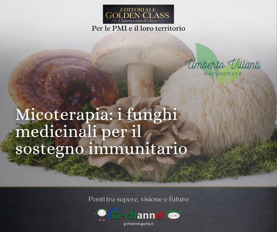Micoterapia: i funghi medicinali per il sostegno immunitario