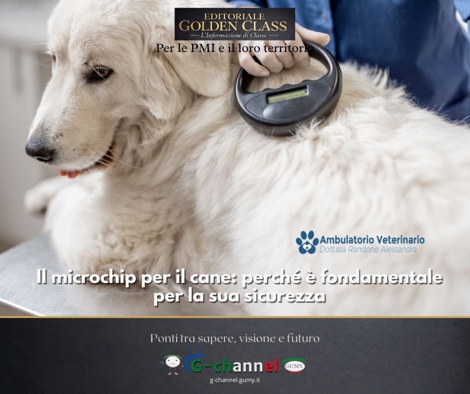 Il microchip per il cane: perché è fondamentale per la sua sicurezza