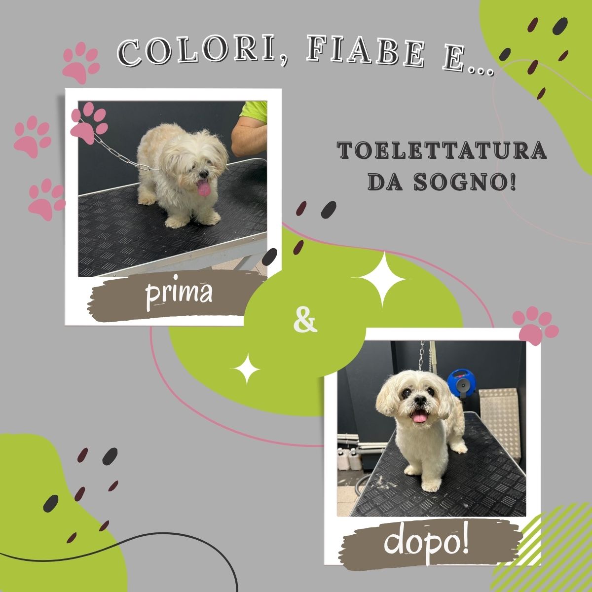 Colori, fiabe e… toelettatura da sogno! ✨