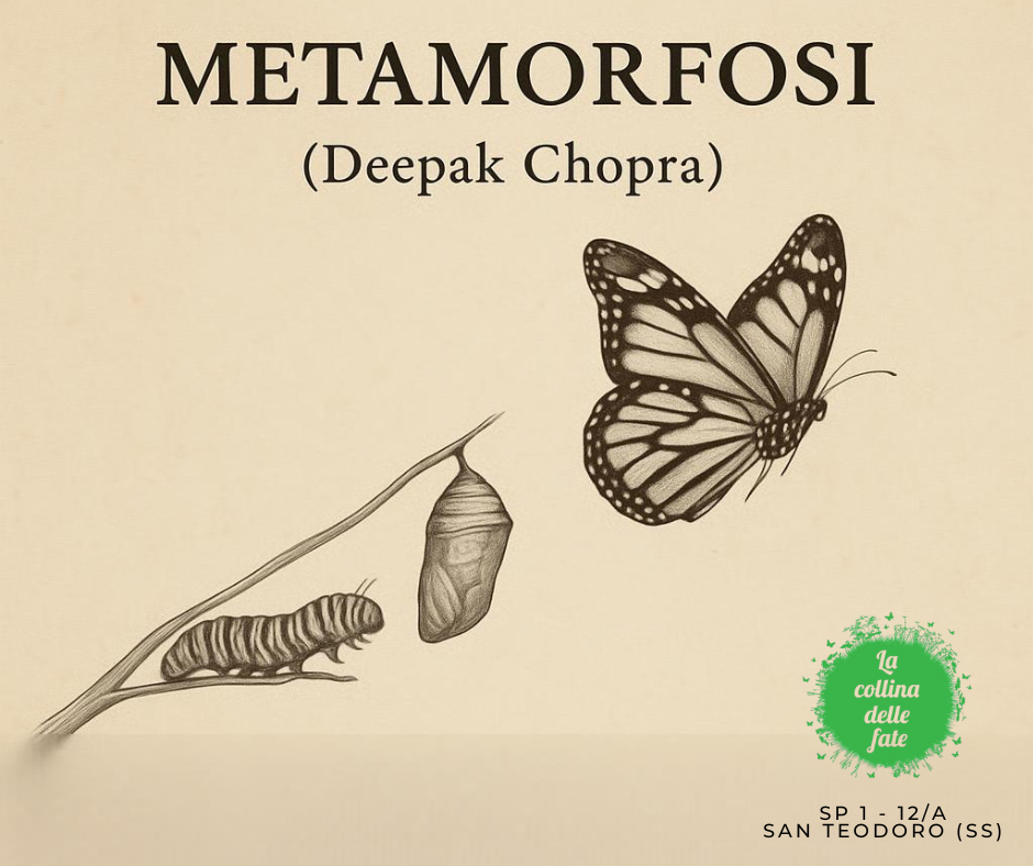 METAMORFOSI (Deepak Chopra) METAMORFOSI (Deepak Chopra)