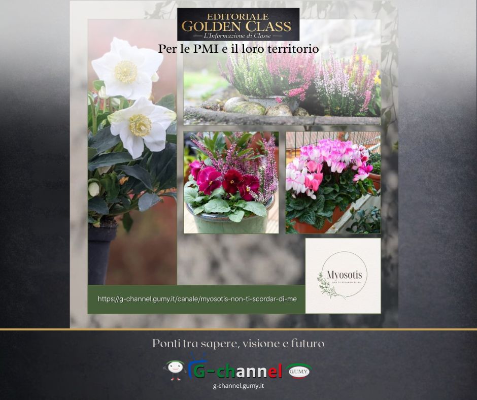 Le piante da balcone che resistono all’inverno: colore e vita anche con il freddo